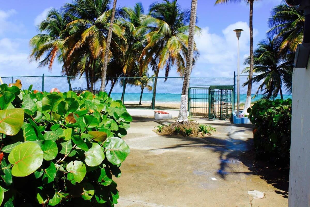 2Br Gem Ocean Front Building Isla Verde Beach San Juan Exteriör bild